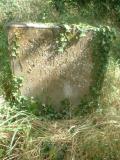 image of grave number 259083